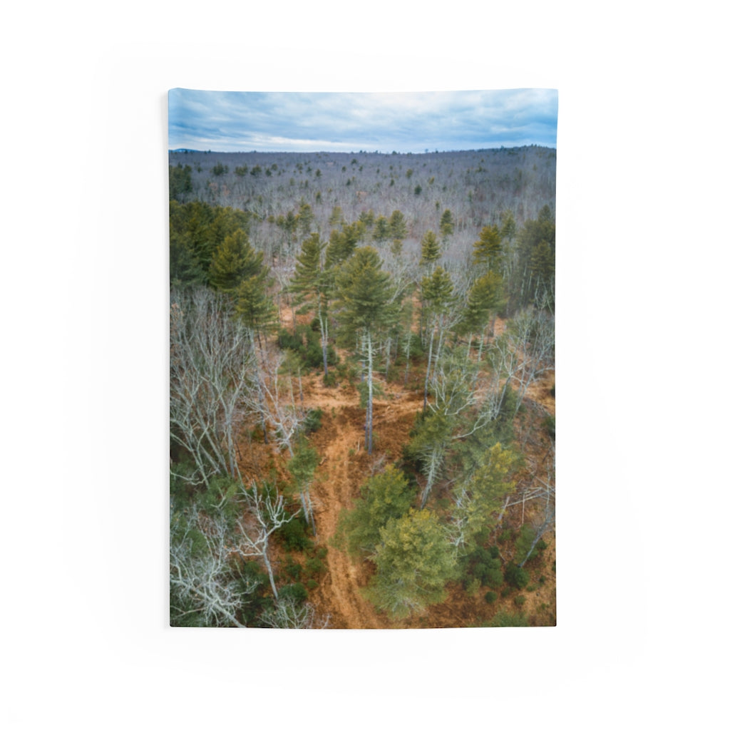 Connecticut Woods Aerial Image - Indoor Wall Tapestries
